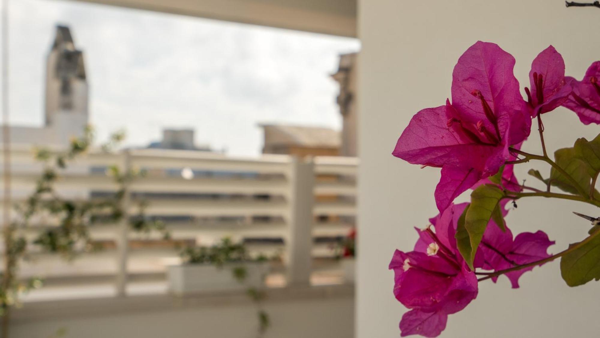 Il Vicoletto Bed & Breakfast Polignano a Mare Eksteriør bilde